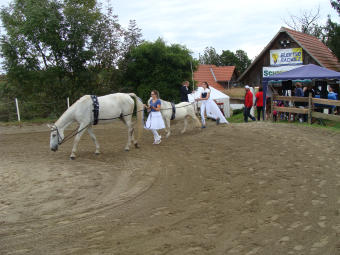 Herbstfest 2019