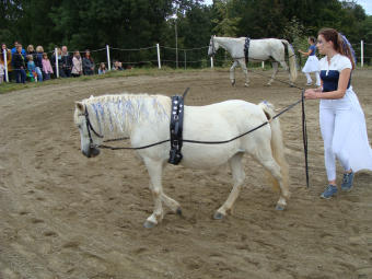 Herbstfest 2019