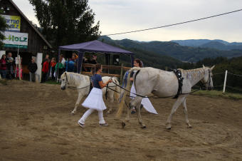 Herbstfest 2019