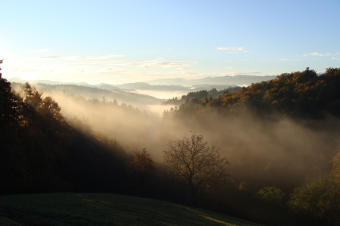 Herbstimpression