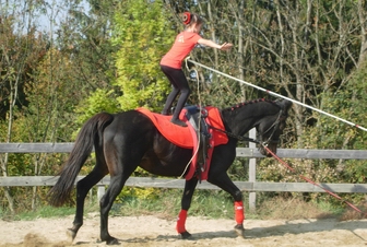 Akrobatik auf dem Pferd