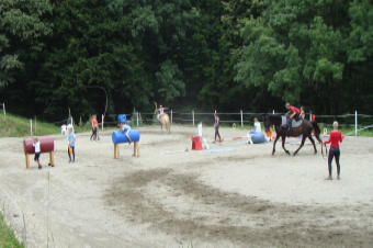 Der 20 x 40 m Reitplatz